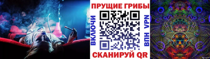 Галлюциногенные грибы Psilocybe  Арсеньев 